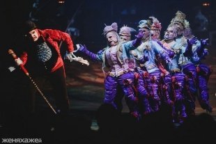 Cirque du Soleil: шоу Alegria в Челябинске 