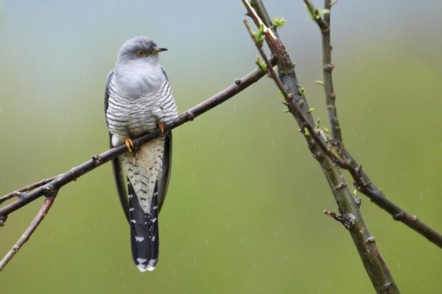 Пять незаурядных топонимов
