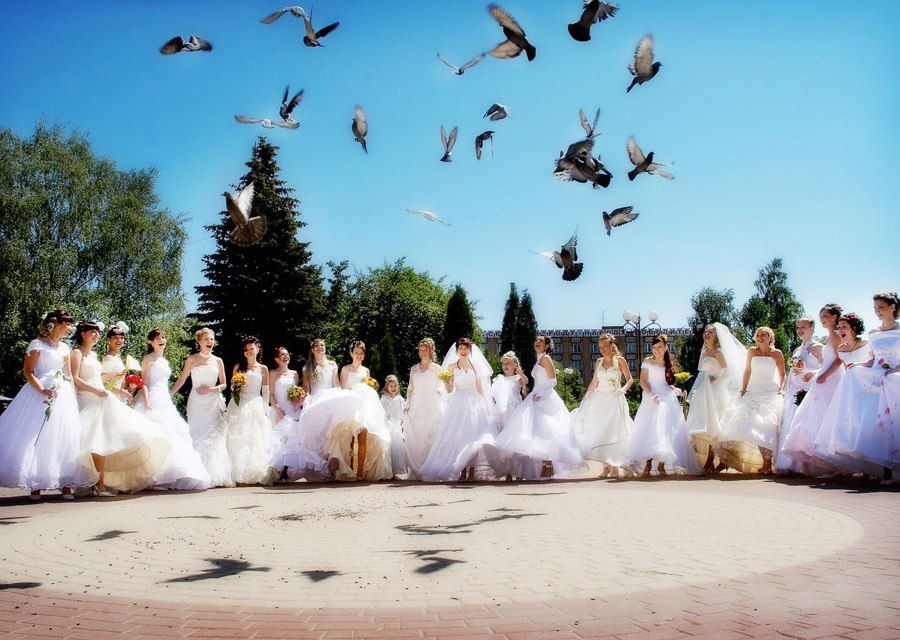 Почему иваново называют невест. Иваново столица невест. Парад невест. Город невест. Много невест.
