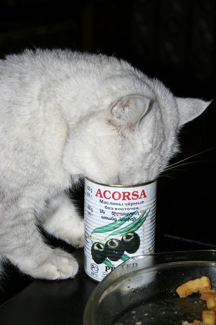Ваши любимые столовые приборы