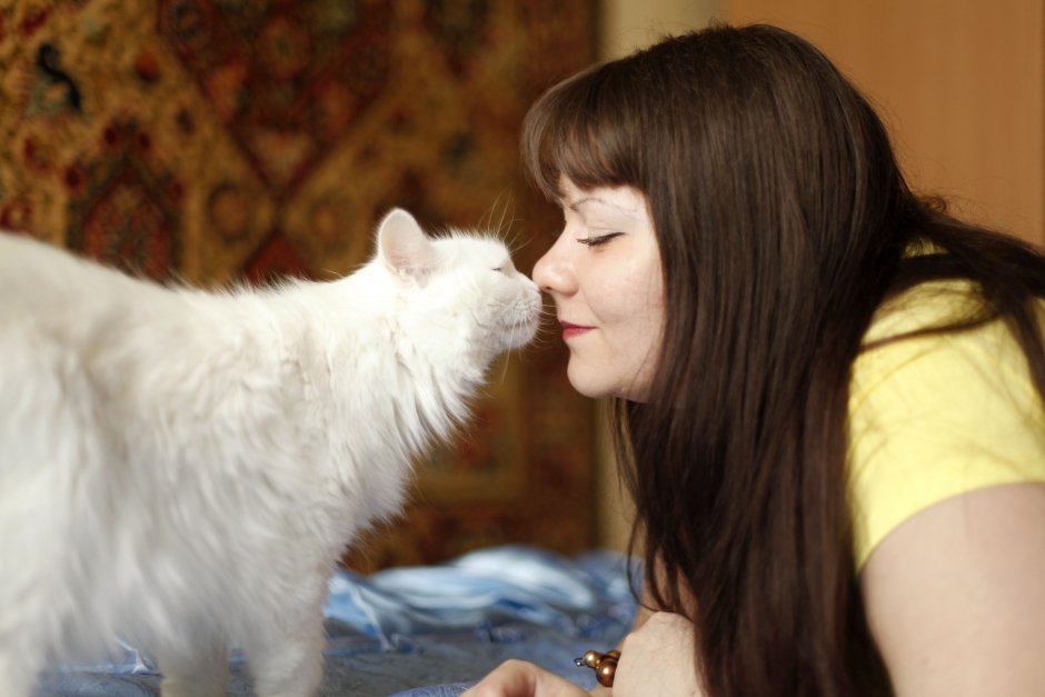 Кошка Люся (хозяйка Светлана Полякова)