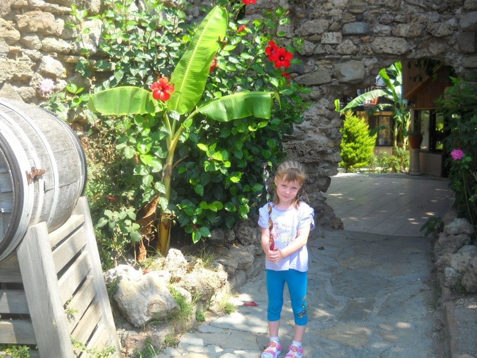 Агафонова Софья – 5 лет.