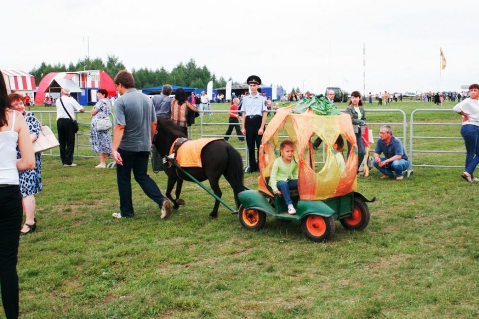 Я выбираю небо!