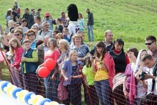 Соревнования «Летний Горнолужник» в фан-парке "Бобровый Лог".