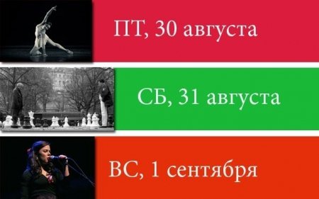 Спокойствие дикой природы. Комфорт городской квартиры.