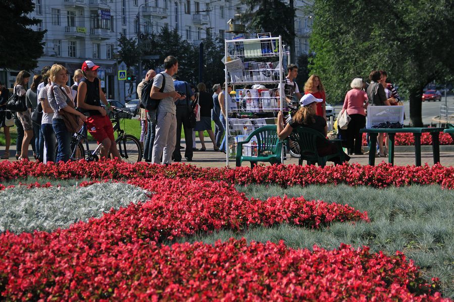 Библиотека под открытым небом