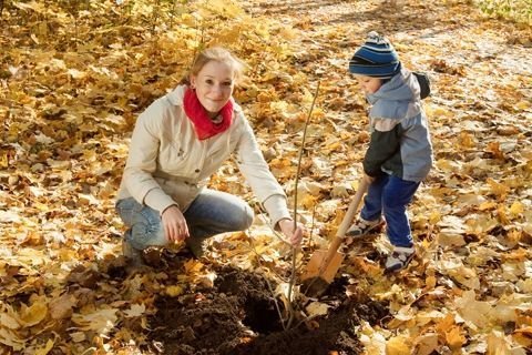 Пять вещей, которые нужно успеть сделать до снега