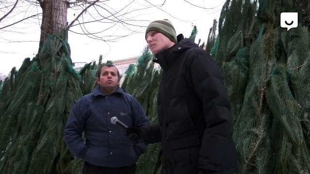 Где купить елку в Челябинске?