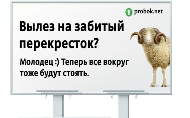 На ростовских улицах станут ловить "баранов"