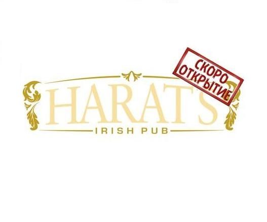В Тольятти открывается пивной бар сети Harats