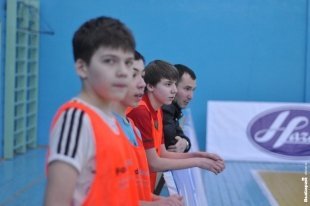 «Звериный» футбол