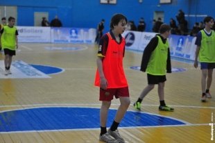 «Звериный» футбол