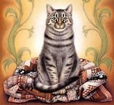 Можно провести весь день с кошками!