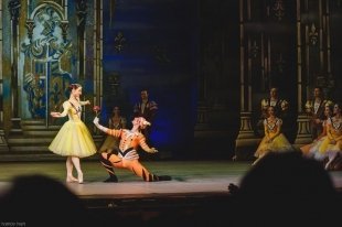 Состоялась премьера балета «Лебединое озеро»