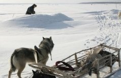 Счастливые люди: год в тайге