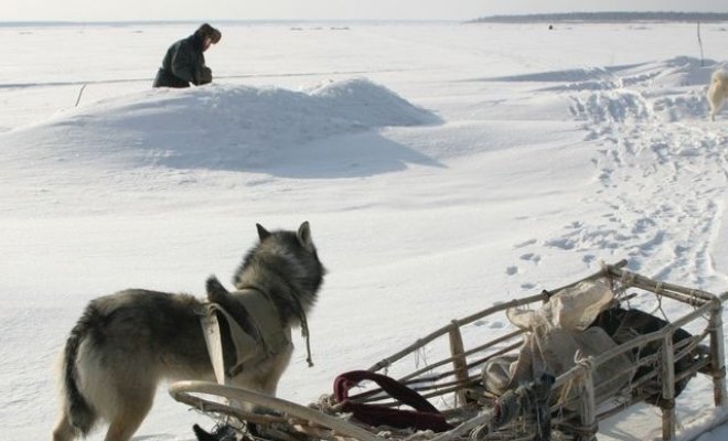 Счастливые люди: год в тайге