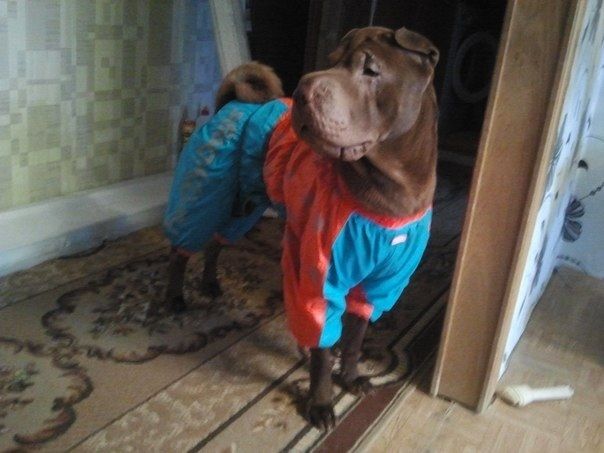 Крис