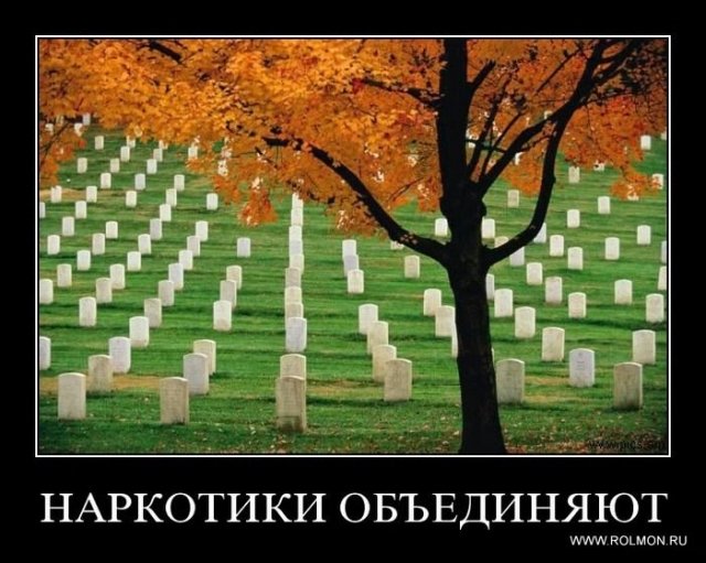 В Челябинске решили бороться с наркоманией демотиваторами
