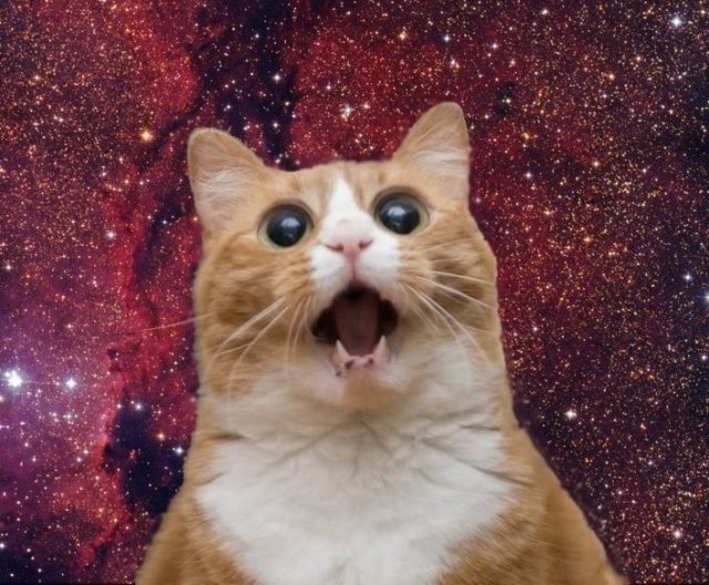 Выходные в городе: 11-13 апреля