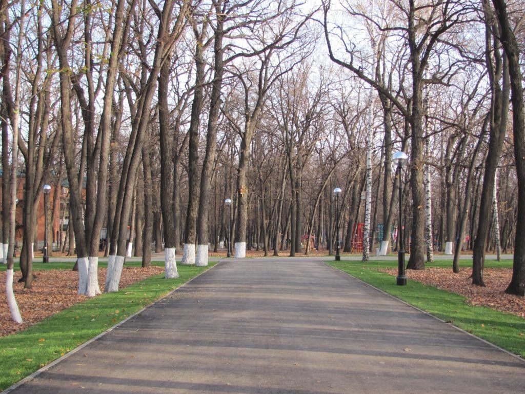 Гагарина в самаре. Гагаринский парк Самара. Парк им Гагарина в Самаре. Самара парк Гагарина аллеи. Парк Юрия Гагарина в парке Самары.