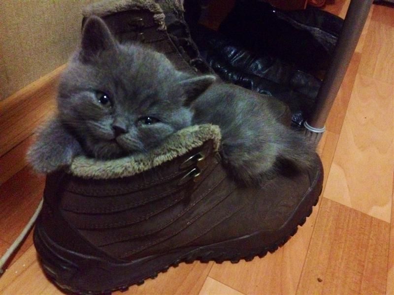 Дарсик