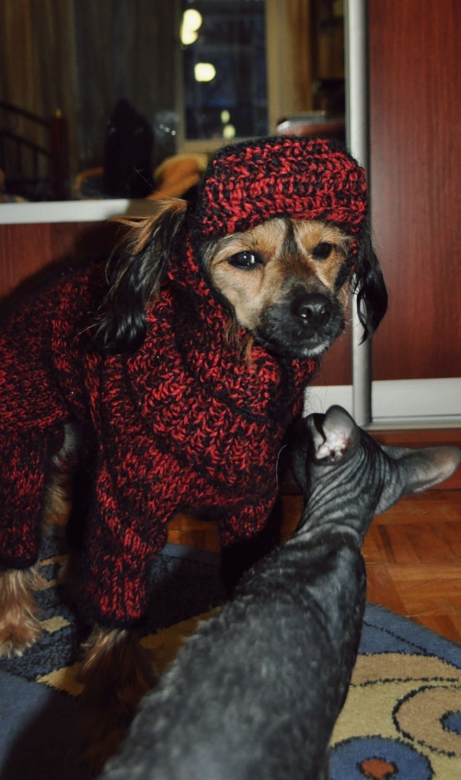 Ильюша