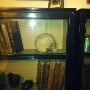 Музей Мамина-Сибиряка: у каждого уважающего себя писателя 19в. был свой череп