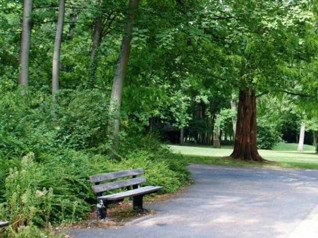 В Театральном сквере заработает «Green-зона»