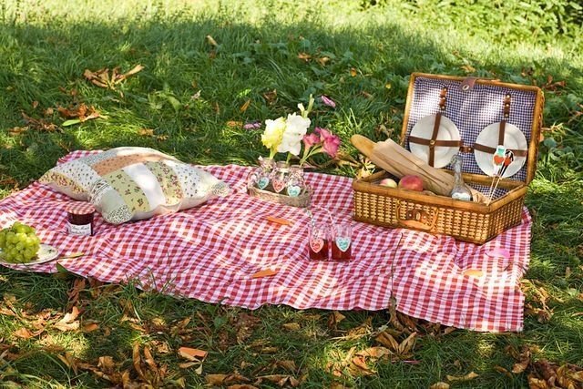 Все лето по четным субботам в парке Гагарина будут пикники