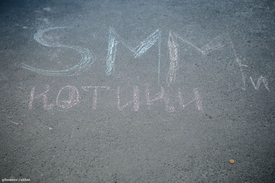 Воркшоп «Стратегия и котики в SMM»