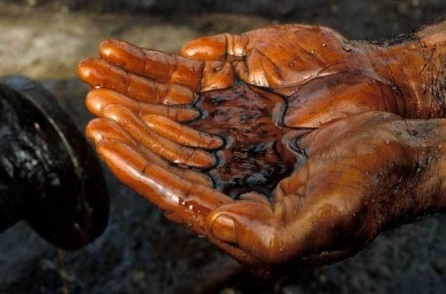 В реке Сайма обнаружили разливы нефти