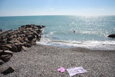 Видно - не значит стыдно: нудистские пляжи в Сочи