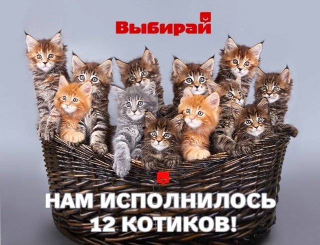 12 лет Выбирай.Екатеринбург: математические уравнения