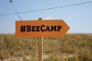 BeeCamp-2014: самый крутой кубок по кайтборду в стране