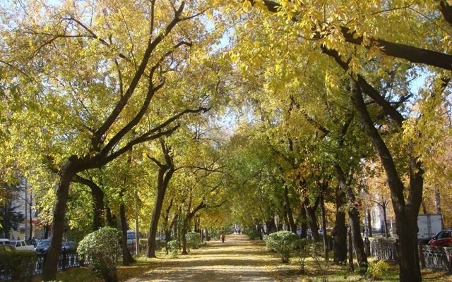 Неспешные фотопрогулки по Екатеринбургу: осень в городе