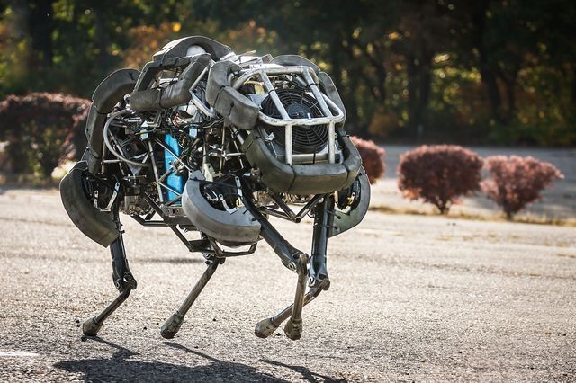 Пятого сентября в «Юности» откроется технофорум и выставка роботов