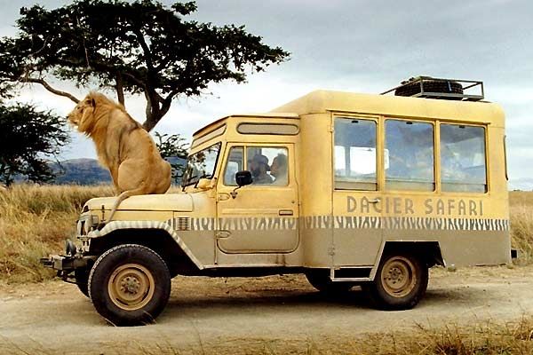 Израильский зоопарк меняет место прописки, и перебирается на ПМЖ в Индию