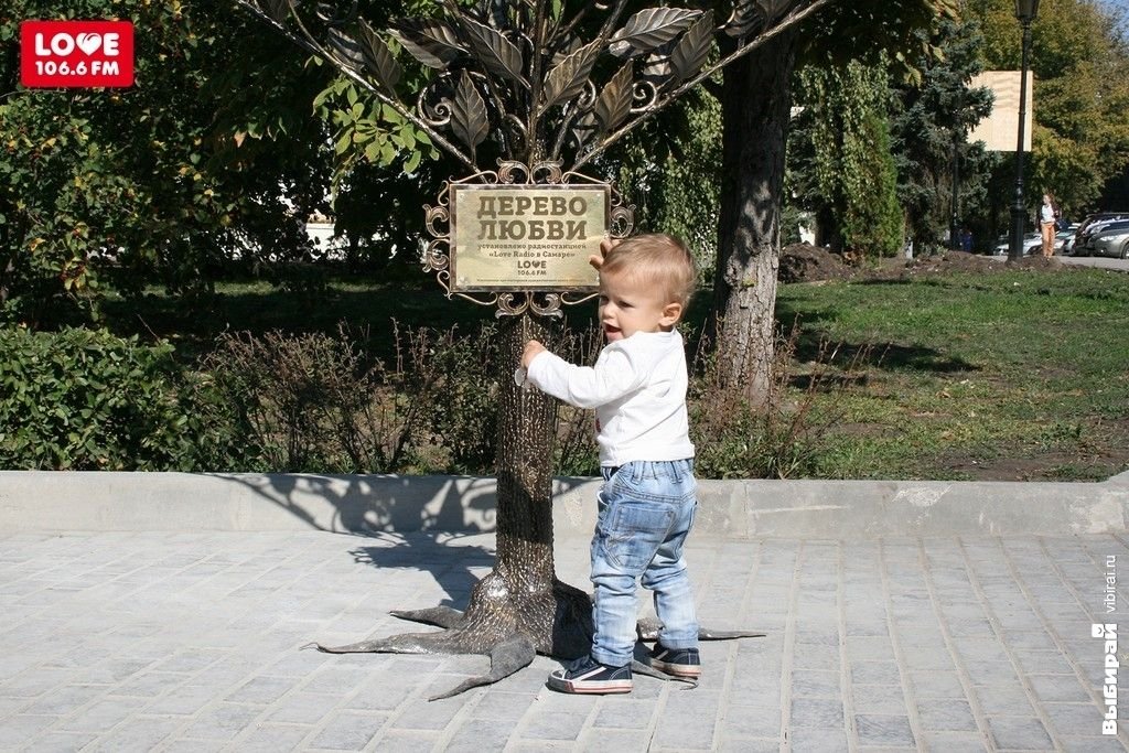 Дерево Самара Фото