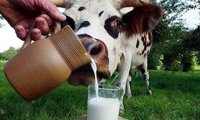 Млеком питающие ся