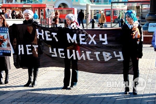 Ростовчане защищают животных 