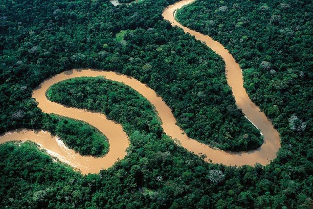 «Амазония: Инструкция по выживанию» (Amazonia)