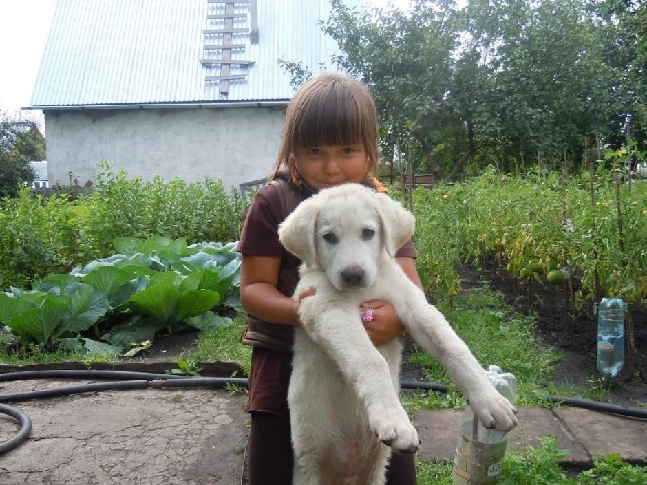 «Позируем!»