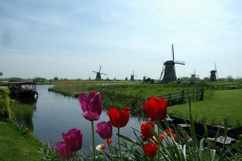 Нидерланды – страна тюльпанов, сыра и мельниц