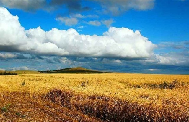 Жителей и гостей столицы порадует выставка Рашида Кулбатырова