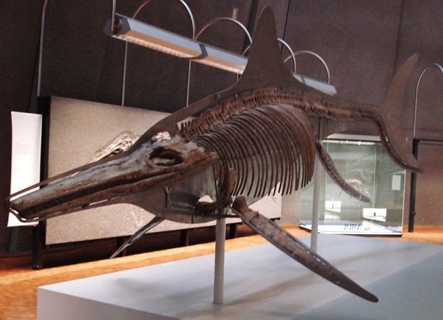 В Югре нашли останки ихтиозавра