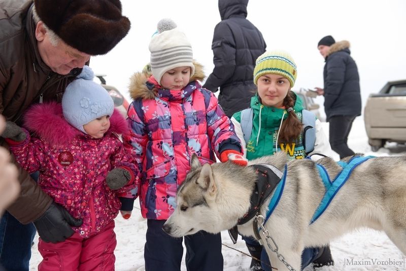 Ездовой спорт