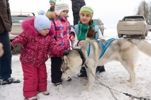 Ездовой спорт