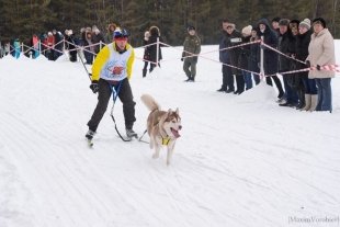 Ездовой спорт