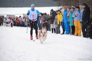 Ездовой спорт