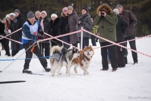 Ездовой спорт